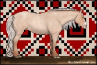 Horse Color:Silver Amber Champagne Roan Frame 