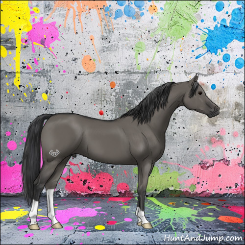 Horse Color:Grullo 