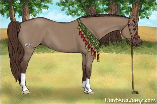 Horse Color:Liver Red Dun Roan 