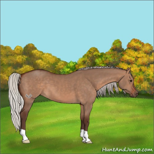 Horse Color:Silver Brown Dun