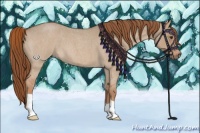 Horse Color:Red Dun Roan