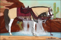 Horse Color:Buckskin Dun Splash 