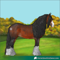 Horse Color:Brown 