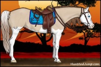 Horse Color:Red Dun Splash 