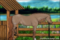 Horse Color:Liver Red Dun 