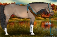 Horse Color:Brown Dun 