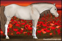 Horse Color:Grullo Pearl 
