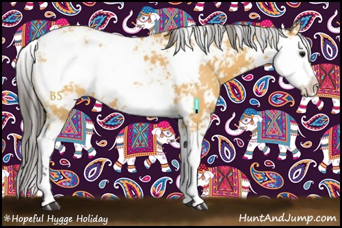 Horse Color:Buckskin Sabino 