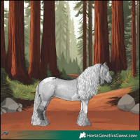 Horse Color:Silver Grullo Chinchilla Tobiano Rabicano 