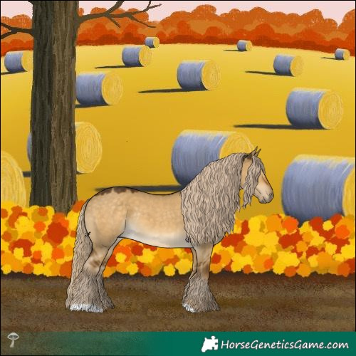 Horse Color:Chocolate Palomino Dun Mushroom Rabicano