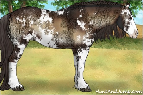 Horse Color:Liver Red Onyx Ice Sabino 