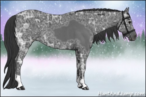 Horse Color:Blue Ice Roan 