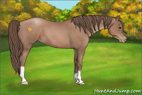 Horse Color:Black Pearl 