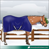 Horse Color:White Spotted Silver Bay Rabicano 