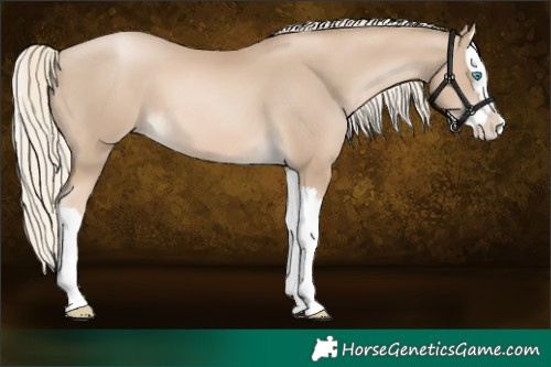 Horse Color:Chocolate Palomino Pearl Splash 