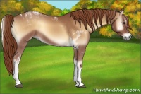 Horse Color:Red Onyx Roan Tobiano 