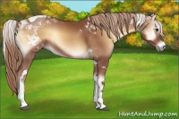 Horse Color:Red Onyx Tobiano 