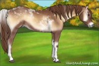 Horse Color:Red Onyx Tobiano Rabicano