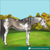 Horse Color:Smoky Blue Onyx Tobiano 