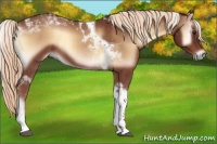 Horse Color:Red Onyx Tobiano 