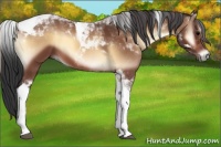 Horse Color:Bay Onyx Tobiano 