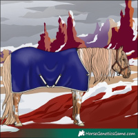 Horse Color:White Spotted Red Dun Rabicano 