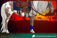 Horse Color:White Spotted Silver Black