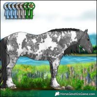 Horse Color:White Spotted Black Ice 