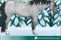 Horse Color:Blue Ice Roan 