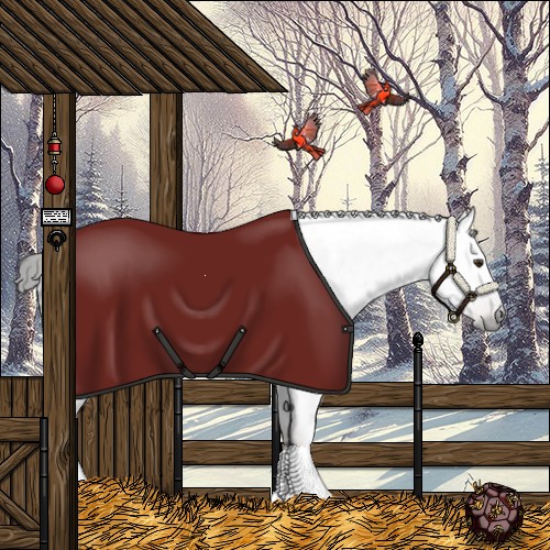 Horse Color:Gray Liver Chestnut Appaloosa 