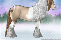 Horse Color:Smoky Black Pearl Tobiano