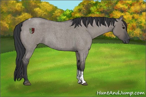 Horse Color:Grullo Roan Tobiano