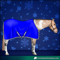 Horse Color:White Spotted Bay Dun Blanket
