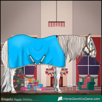 Horse Color:Silver Bay Sabino Splash 