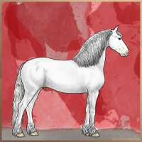 Horse Color:Silver Bay Dun Sabino Splash