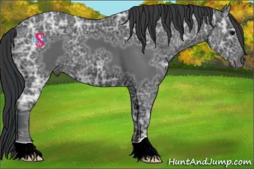 Horse Color:Black Ice 