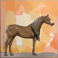Horse Color:Chocolate Palomino 