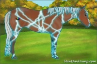 Horse Color:Thunderstruck Silver Bay Sabino 