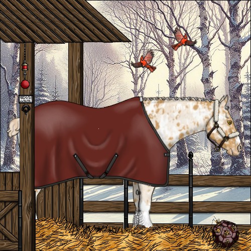 Horse Color:Palomino Appaloosa  and Palomino Appaloosa 