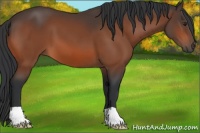 Horse Color:Brown 