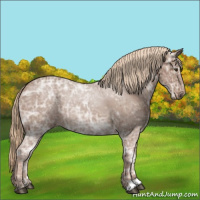 Horse Color:Chestnut Ice 