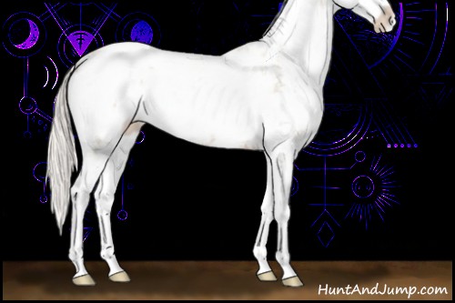 Horse Color:Silver Black Pearl Sabino Rabicano 