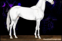 Horse Color:Silver Black Pearl Sabino Rabicano 