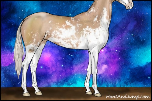 Horse Color:Silver Black Pearl Sabino 