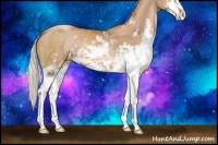 Horse Color:Silver Black Pearl Sabino 