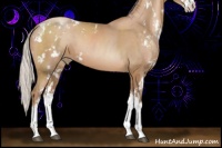 Horse Color:Silver Black Pearl Sabino 