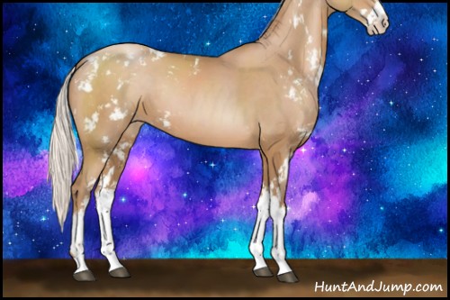 Horse Color:Silver Black Pearl Sabino Rabicano 