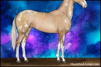 Horse Color:Silver Black Pearl Sabino Rabicano 