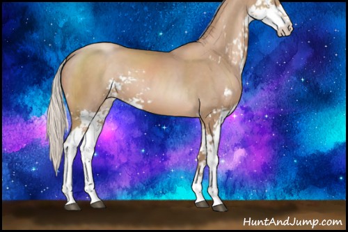 Horse Color:Silver Black Pearl Sabino 