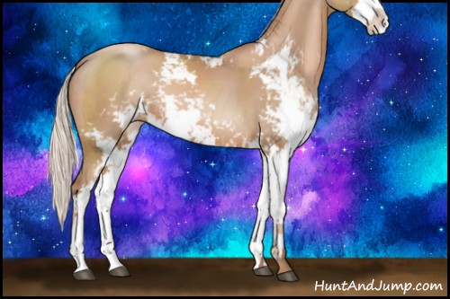 Horse Color:Silver Black Pearl Sabino 